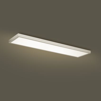 Brilagi - LED Dimbare badkamer plafondverlichting FRAME SMART LED/50W/230V 120x30 cm 3000-6000K IP44 zilver + afstandsbediening
