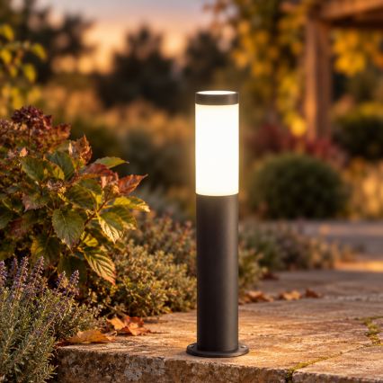 BRILAGI - LED-dimbare buitenlamp ELIA 1xE27/6W/230V 2700-6500K IP44 Wi-Fi 50 cm antraciet