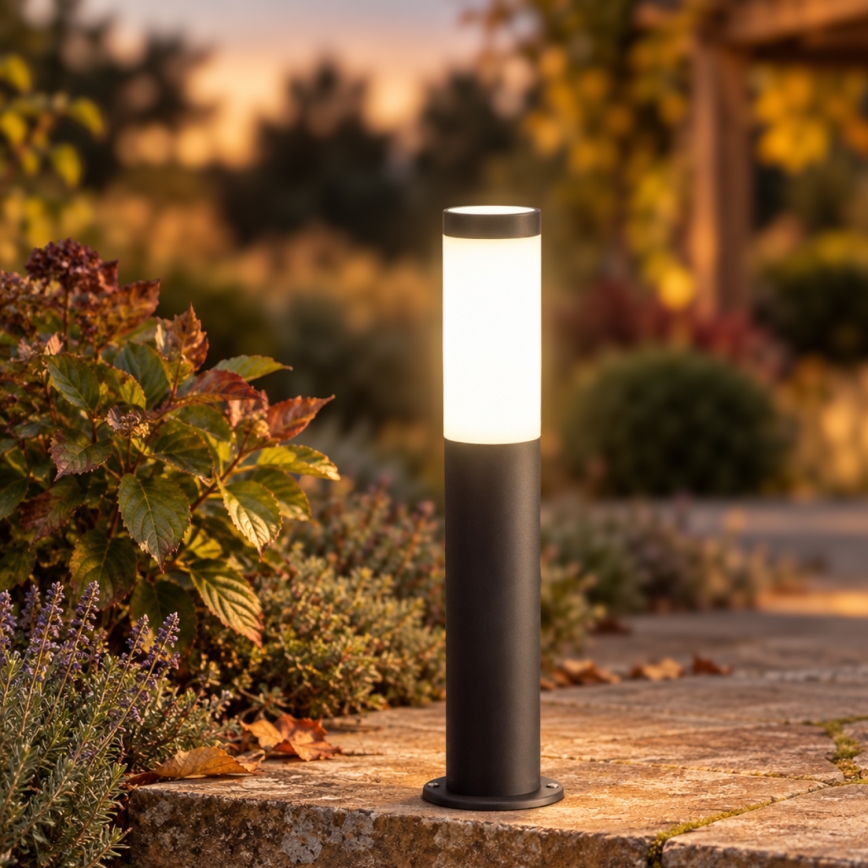 BRILAGI - LED-dimbare buitenlamp ELIA 1xE27/6W/230V 2700-6500K IP44 Wi-Fi 50 cm antraciet