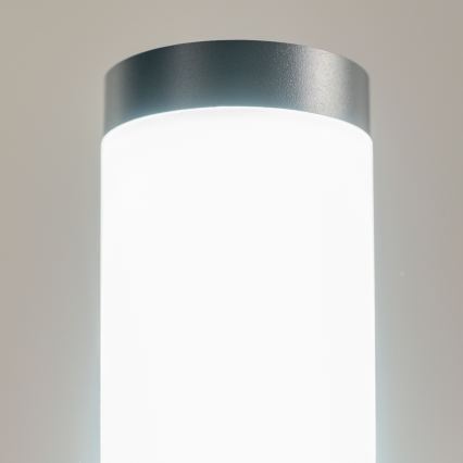 BRILAGI - Dimbare buitenlamp met stopcontact ELIA 1xE27/6W/230V 2700-6500K IP44 Wi-Fi 50 cm antraciet