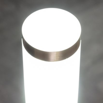 BRILAGI - Dimbare LED buitenwandlamp ELIA 1xE27/6W/230V 2700-6500K IP44 mat chroom