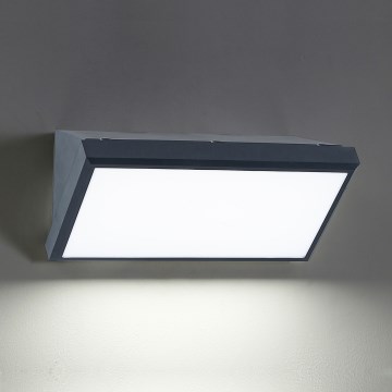 Brilagi - LED-dimbare buitenwandlamp TRIANGLE 1xE27/6W/230V 2700-6500K IP65 antraciet