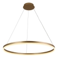 Brilagi - LED dimbare hanglamp aan kabel CIRCLE LED/55W/230V 3000–6500K Ø 80 cm goud + afstandsbediening