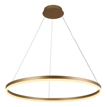 Brilagi - LED dimbare hanglamp aan kabel CIRCLE LED/55W/230V 3000–6500K Ø 80 cm goud + afstandsbediening