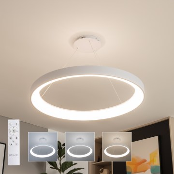 Brilagi - LED dimbare hanglamp aan kabel FALCON II LED/108W/230V 3000-6500K Ø 80 cm wit + afstandsbediening
