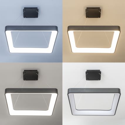 Brilagi - FALCON II dimbare LED-hanglamp aan kabel LED/125W/230V 3000-6500K 60x60 cm zwart + afstandsbediening