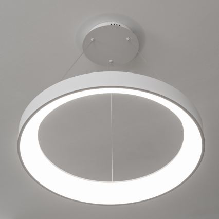 BRILAGI - LED dimbare hanglamp aan kabel FALCON II LED/99W/230V 3000-6500K Ø 60 cm wit + afstandsbediening