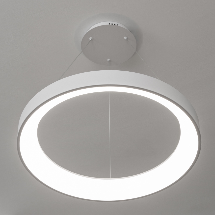 BRILAGI - LED dimbare hanglamp aan kabel FALCON II LED/99W/230V 3000-6500K Ø 60 cm wit + afstandsbediening