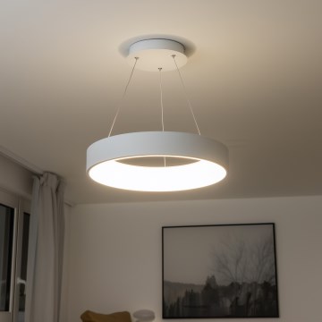 Brilagi - LED dimbare hanglamp aan kabel FALCON LED/40W/230V 3000-6500K Ø 45 cm wit + afstandsbediening