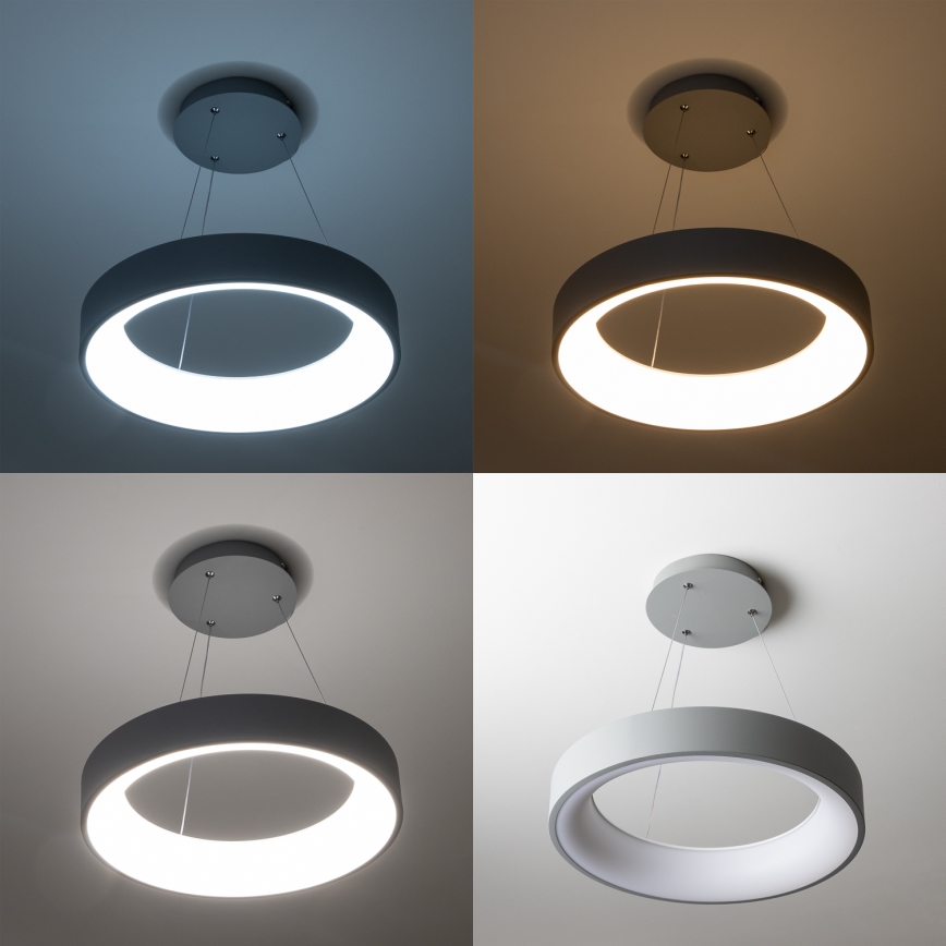 Brilagi - Dimbare LED-hanglamp aan kabel FALCON LED/80W/230V 3000-6500K Ø 60 cm grijs + afstandsbediening