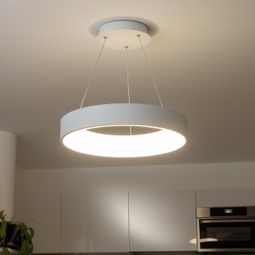 Brilagi - LED dimbare hanglamp aan kabel FALCON LED/80W/230V 3000-6500K Ø 60 cm wit + afstandsbediening