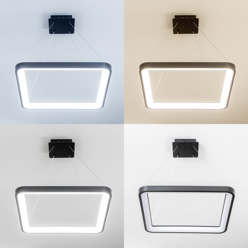 Brilagi - LED dimbare hanglamp aan kabel FALCON SLIM LED/50W/230V 3000-6500K 50x50 cm zwart + afstandsbediening