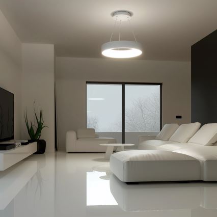 Brilagi - LED dimbare hanglamp aan kabel FALCON LED/40W/230V 3000-6500K Ø 45 cm wit + afstandsbediening