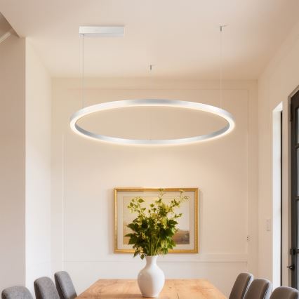Brilagi - Dimbare LED-hanglamp met kabel PORTOFINO LED/60W/230V 3000-6000K Ø 80 cm zilver + afstandsbediening