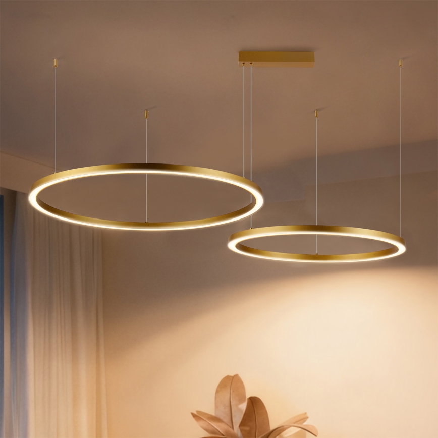 Brilagi - Dimbare LED-kroonluchter aan kabel PORTOFINO LED/98W/230V 3000-6000K goud + afstandsbediening