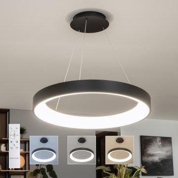 Brilagi - LED dimbare hanglamp met kabelophanging FALCON II LED/99W/230V 3000-6500K Ø 60 cm zwart + afstandsbediening
