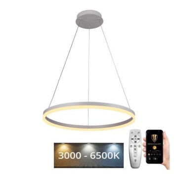 Brilagi - LED dimbare pendellamp aan kabel CIRCLE LED/42W/230V 3000-6500K Ø 60 cm + afstandsbediening