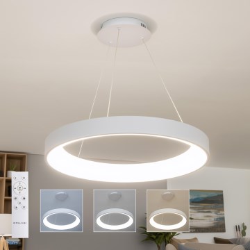 Brilagi - LED-dimbare pendellamp aan kabel FALCON II LED/99W/230V 3000-6500K Ø 60 cm wit, inclusief afstandsbediening