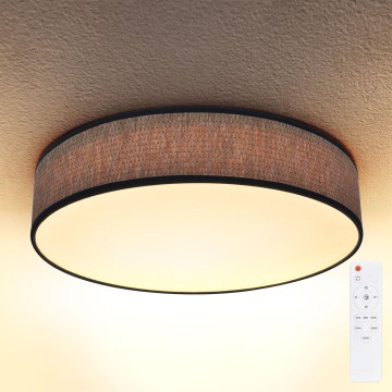 Brilagi - LED dimbare plafondlamp ADELA LED/48W/230V 3000-6500K Ø 40 cm + afstandsbediening