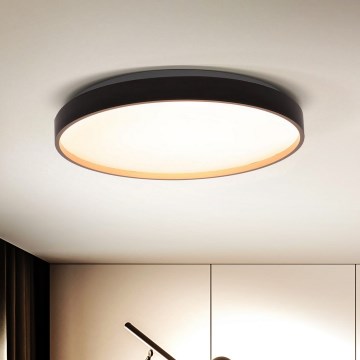 Brilagi - LED dimbare plafondlamp CALA LED/48W/230V 3000-6500K Ø 38 cm + afstandsbediening