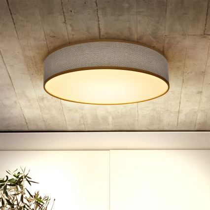 Brilagi - LED dimbare plafondlamp CARMEN LED/48W/230V 3000-6500K Ø 40 cm + afstandsbediening