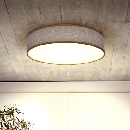 Brilagi - LED dimbare plafondlamp CARMEN LED/48W/230V 3000-6500K Ø 40 cm + afstandsbediening
