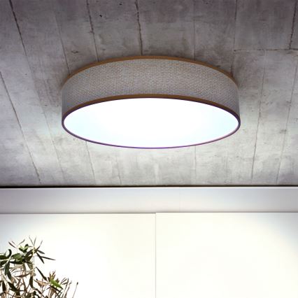 Brilagi - LED dimbare plafondlamp CARMEN LED/48W/230V 3000-6500K Ø 40 cm + afstandsbediening