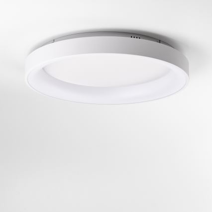 Brilagi - LED dimbare plafondlamp FALCON II LED/99W/230V 3000–6500K Ø 60 cm wit + afstandsbediening