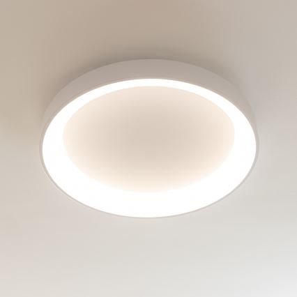 Brilagi - LED dimbare plafondlamp FALCON II LED/99W/230V 3000–6500K Ø 60 cm wit + afstandsbediening