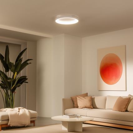 Brilagi - LED dimbare plafondlamp FALCON SLIM LED/42W/230V 3000-6500K Ø 50 cm wit + afstandsbediening