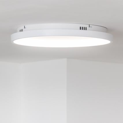 Brilagi - LED dimbare plafondlamp FALCON SLIM LED/42W/230V 3000-6500K Ø 50 cm wit + afstandsbediening