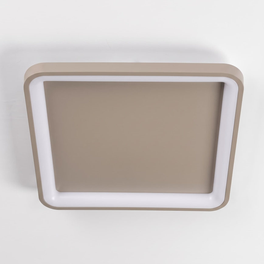 BRILAGI - LED Dimbare plafondlamp FALCON SLIM LED/50W/230V 3000-6500K 50x50 cm beige + afstandsbediening