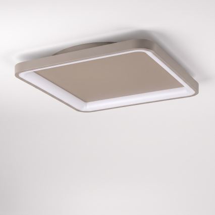 BRILAGI - LED Dimbare plafondlamp FALCON SLIM LED/50W/230V 3000-6500K 50x50 cm beige + afstandsbediening