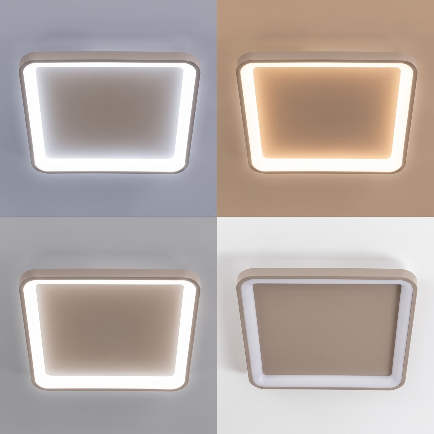 BRILAGI - LED Dimbare plafondlamp FALCON SLIM LED/50W/230V 3000-6500K 50x50 cm beige + afstandsbediening