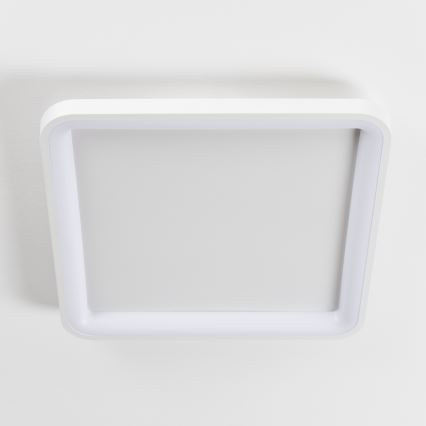 Brilagi - dimbare LED-plafondlamp FALCON SLIM LED/50W/230V 3000-6500K 50x50 cm wit + afstandsbediening