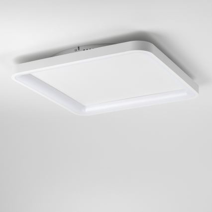 Brilagi - dimbare LED-plafondlamp FALCON SLIM LED/50W/230V 3000-6500K 50x50 cm wit + afstandsbediening