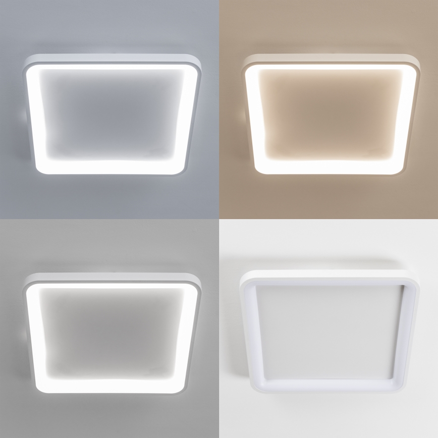 Brilagi - dimbare LED-plafondlamp FALCON SLIM LED/50W/230V 3000-6500K 50x50 cm wit + afstandsbediening