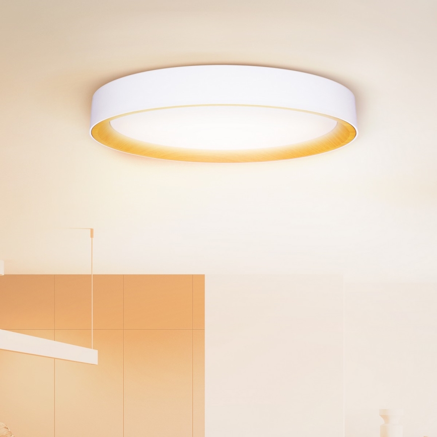 Brilagi - LED-dimbare plafonnière LARIOS LED/72W/230V wit Ø 59 cm + afstandsbediening