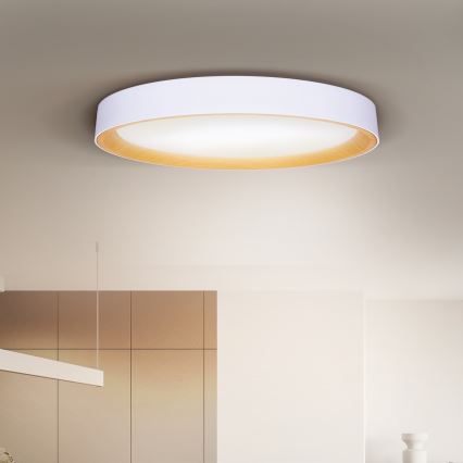 Brilagi - LED-dimbare plafonnière LARIOS LED/72W/230V wit Ø 59 cm + afstandsbediening