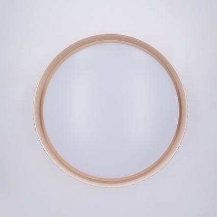 Brilagi - Dimbare LED-plafondlamp LUCIA LED/48W/230V 3000–6500K Ø 41 cm beige + afstandsbediening