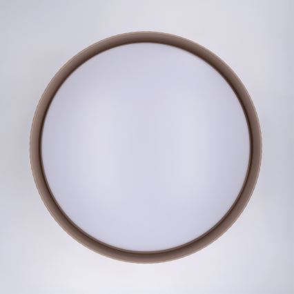 Brilagi - Dimbare LED-plafondlamp LUCIA LED/60W/230V 3000–6500K Ø 59 cm taupe + afstandsbediening