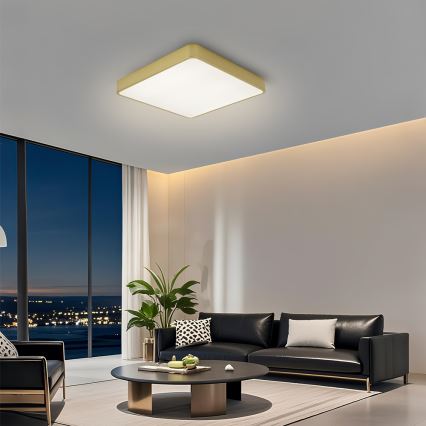 Brilagi - LED-dimbare plafondlamp POOL LED/36W/230V 3000-6000K 40x40 cm goud + afstandsbediening