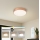 Brilagi - LED-dimbare plafondlamp POOL LED/36W/230V 3000-6000K Ø 30 cm bronskleurig + afstandsbediening
