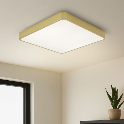 Brilagi - LED-dimbare plafondlamp POOL LED/48W/230V 3000-6000K 50x50 cm gouden + afstandsbediening