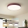 Brilagi - LED dimbare plafondlamp POOL LED/48W/230V 3000-6000K Ø 40 cm bordeaux + afstandsbediening