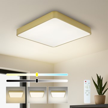 Brilagi - LED-dimbare plafondlamp POOL SQUARE LED/36W/230V 3000-6000K 40x40 cm goud + afstandsbediening