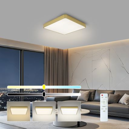 BRILAGI - LED-dimbare plafondlamp POOL SQUARE LED/36W/230V 3000-6000K 40x40 cm goud + afstandsbediening