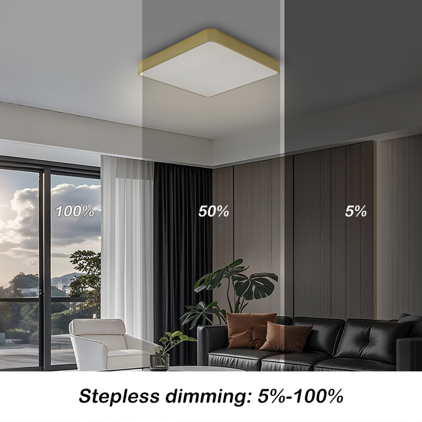 BRILAGI - LED-dimbare plafondlamp POOL SQUARE LED/36W/230V 3000-6000K 40x40 cm goud + afstandsbediening