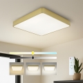 Brilagi - LED-dimbare plafondlamp POOL SQUARE LED/48W/230V 3000-6000K 50x50 cm gouden + afstandsbediening
