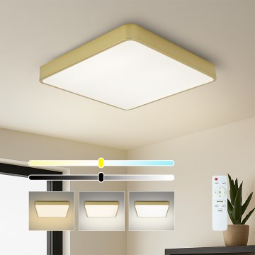 Brilagi - LED-dimbare plafondlamp POOL SQUARE LED/48W/230V 3000-6000K 50x50 cm gouden + afstandsbediening